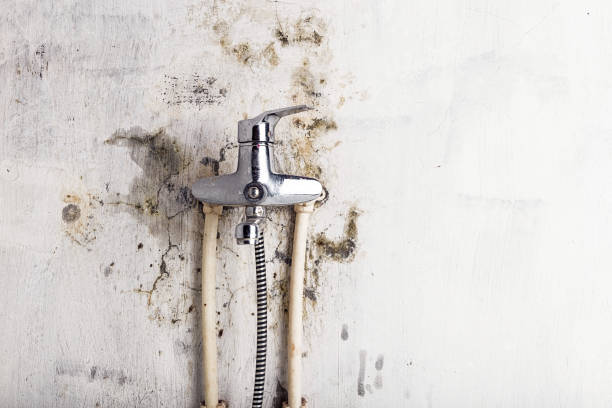 Best Residential Mold Removal  in Berlin, WI