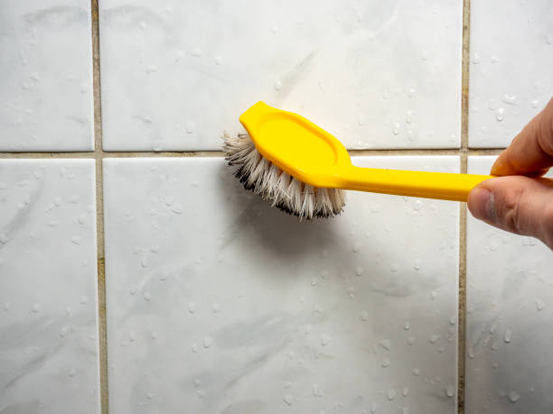 Best Mold Removal Company Near Me  in Berlin, WI