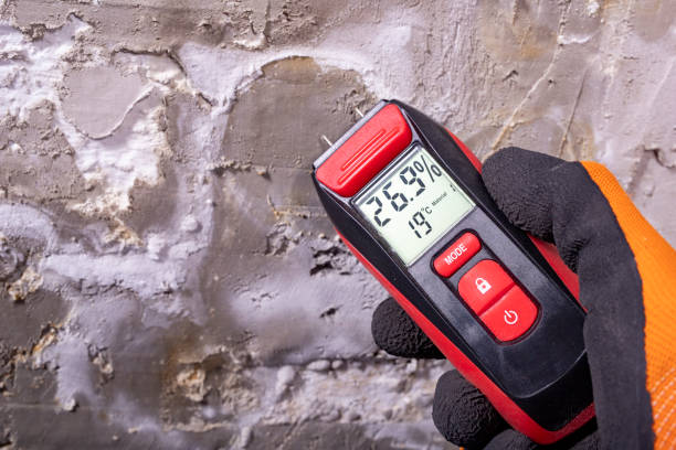 Best Mold Remediation Services  in Berlin, WI
