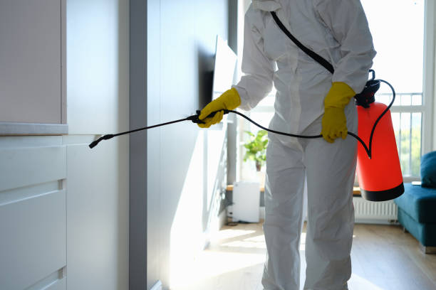 Best Attic Mold Removal  in Berlin, WI