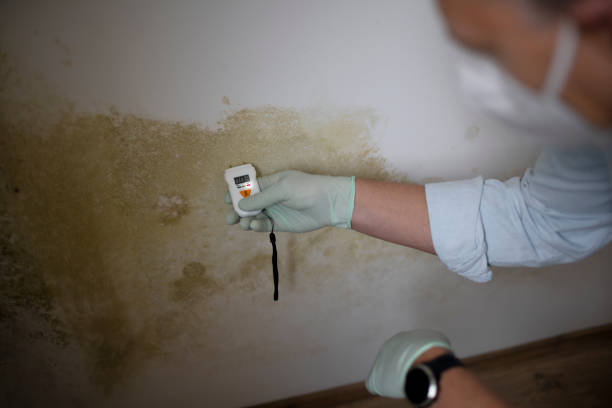 Best Certified Mold Removal  in Berlin, WI