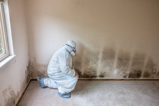 Best Crawl Space Mold Removal  in Berlin, WI